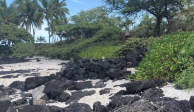 Hawaiʻi County awarded $1.9M grant for Puapuaʻa Iki Habitat Restoration Project : Big Island Now