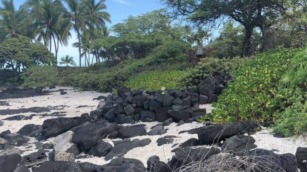 Hawaiʻi County awarded $1.9M grant for Puapuaʻa Iki Habitat Restoration Project : Big Island Now