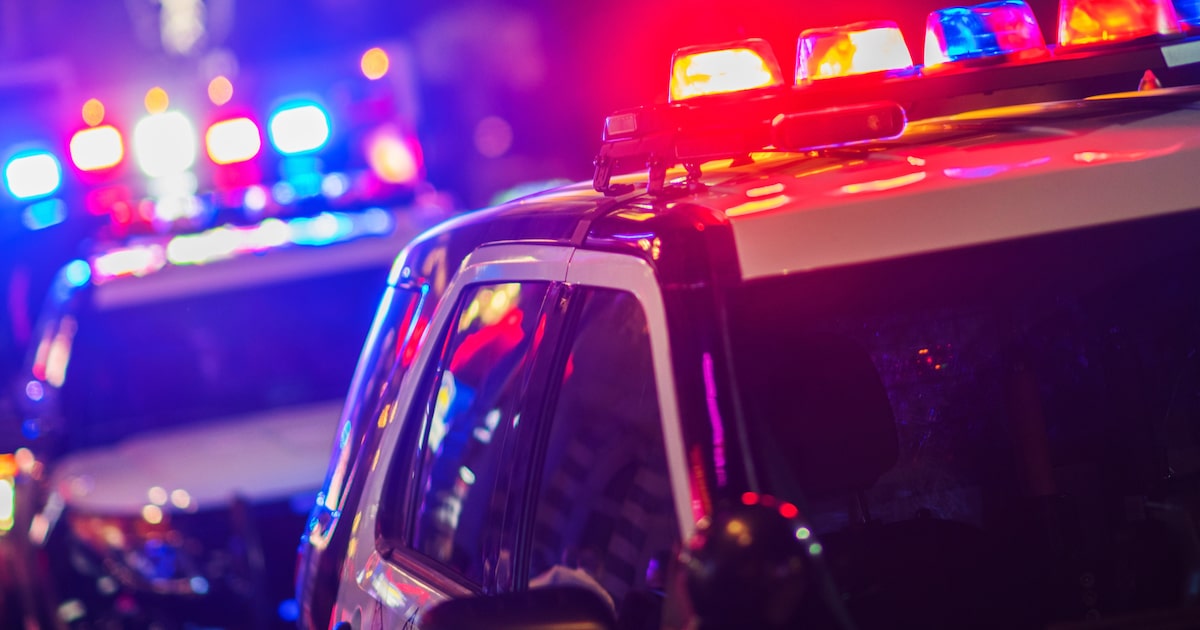 29 dogs found inside Texas home after alleged pit bull attack outside, officials say