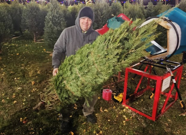 Chris Meyers and his crew will find the perfect tree to adorn your living room. (Photo courtesy of the Friends of Gorgas Park)