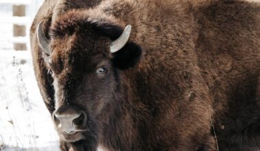 ‘Hundreds of years in the making’ – Shaw Local