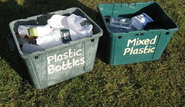 Waste to Wonder Brings Sustainability to Life at Fort Worth Museum