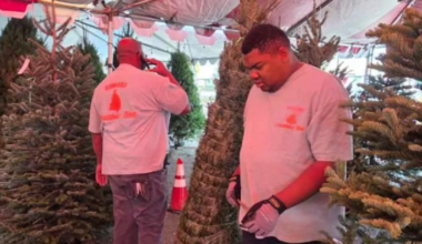 Anaheim Christmas tree lot creates jobs for people with special needs – NBC Los Angeles