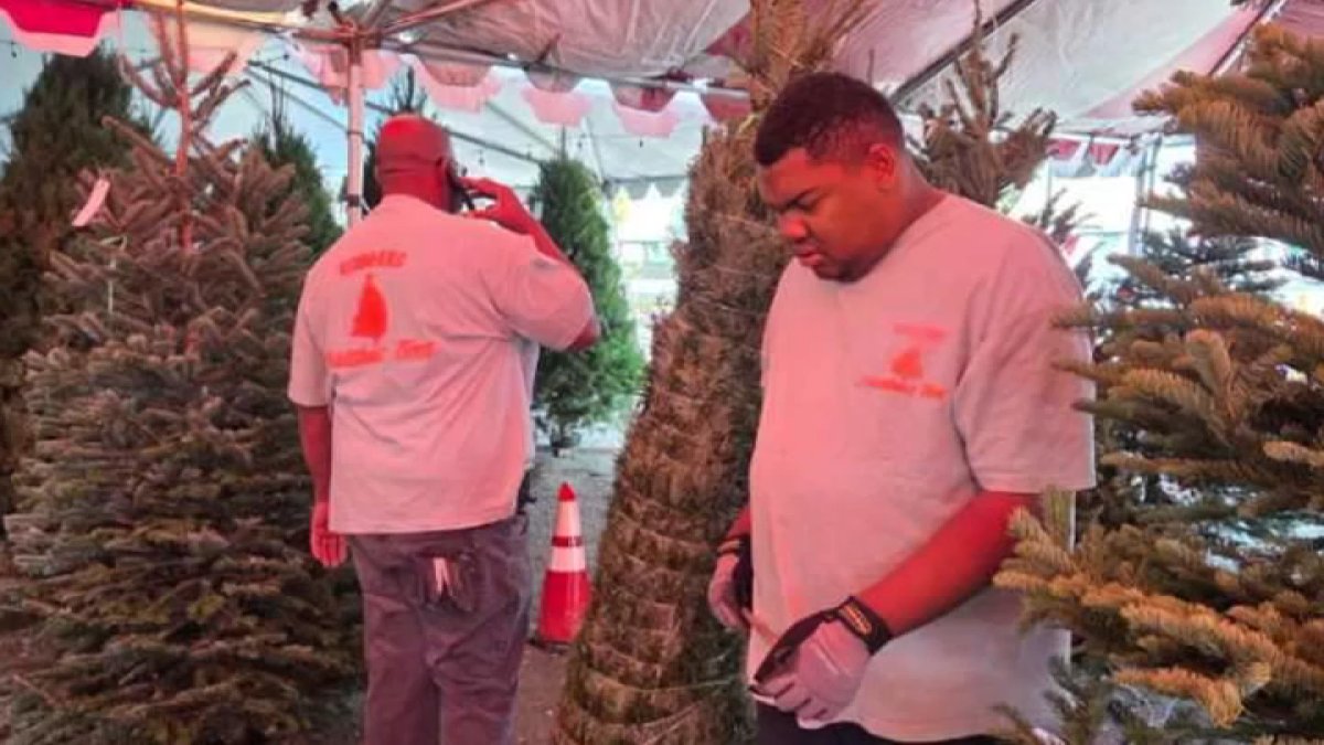 Anaheim Christmas tree lot creates jobs for people with special needs – NBC Los Angeles