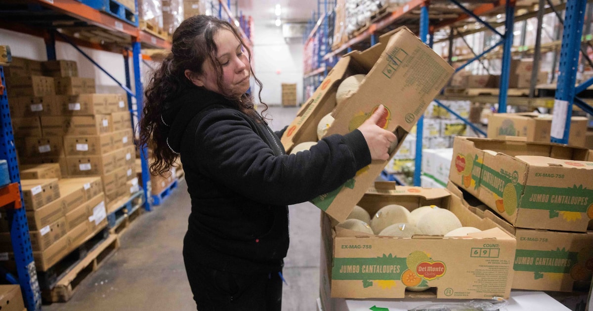 What Texas jobs will see increased growth in next several years?