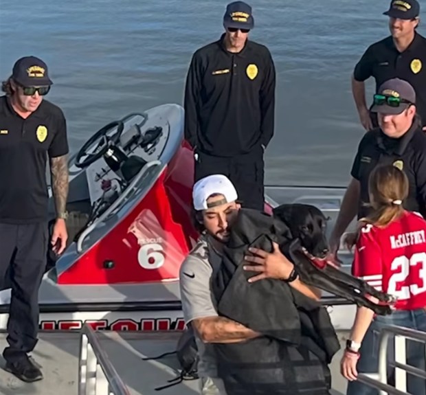 A dog that escaped Sunday and ran out of their owners front door was being actively searched for when San Diego Fire-Rescue Department lifeguards in Mission Bay found her swimming and pulled her out of the water. (San Diego Fire-Rescue Department)