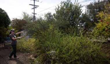 A how-to – San Diego Union-Tribune