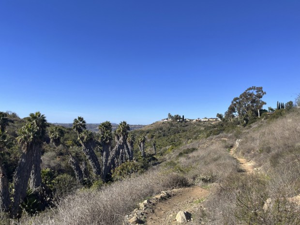 The view of the Rancho Mission Canyon Park from the trail.