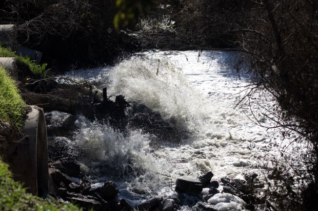 The Tijuana River flows on Thursday, Dec. 11, 2025 in San Diego, CA. (Ana Ramirez / The San Diego Union-Tribune)