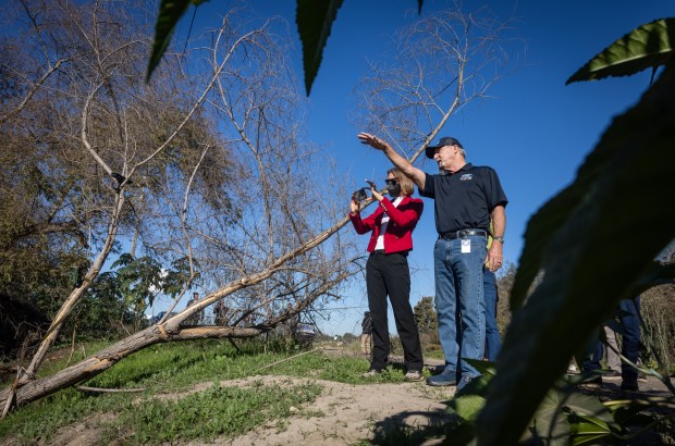 Imperial Beach mayor Mitch McKay, right, gives a tour to Sen. Catherine S. Blakespear of the Tijuana River on Thursday, Dec. 11, 2025 in San Diego, CA. (Ana Ramirez / The San Diego Union-Tribune)