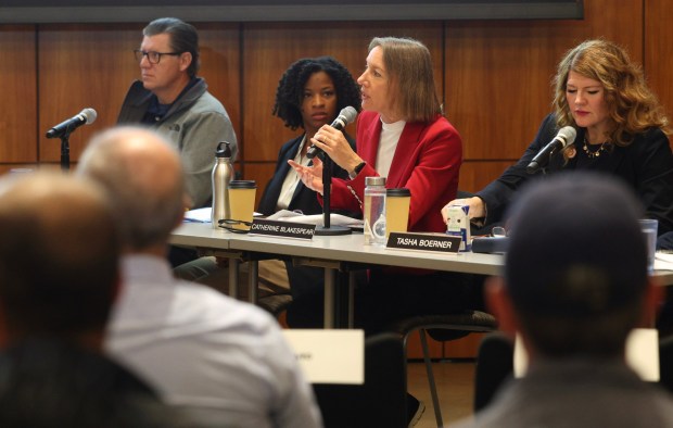 SAN DIEGO, CA - December 11, 2025: State Senator Catherine Blakespear speaks during a joint informational hearing on monitoring the impacts and progress in the Tijuana River Valley at the Robert Paine Scripps Forum in La Jolla on Thursday, December 11, 2025. (Hayne Palmour IV / For The San Diego Union-Tribune)