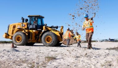 Least tern habitat restored along with new Carlsbad railroad bridge