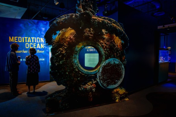 Step into "Meditation Ocean: Aquarius ReefBase" at Birch Aquarium through a recreation of the underwater base's iconic porthole. (Jordann Tomasek / Birch Aquarium at Scripps)