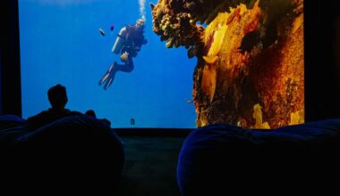 Birch Aquarium dives deep in the waters with ‘Meditation Ocean’ – San Diego Union-Tribune