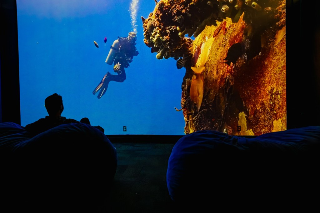 Birch Aquarium dives deep in the waters with ‘Meditation Ocean’ – San Diego Union-Tribune