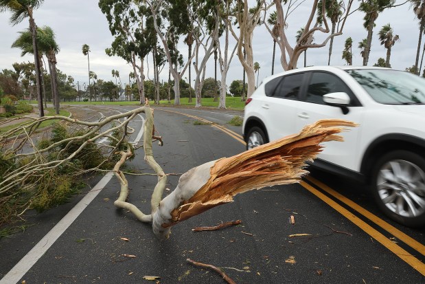 Heavy weather from a Pineapple Express storm hit Coronado before noon Wednesday, downing branches, causing major whitecaps to form in San Diego Bay and two sailboats to drag anchor in Glorietta Bay. (John Gastaldo / For The San Diego Union-Tribune)