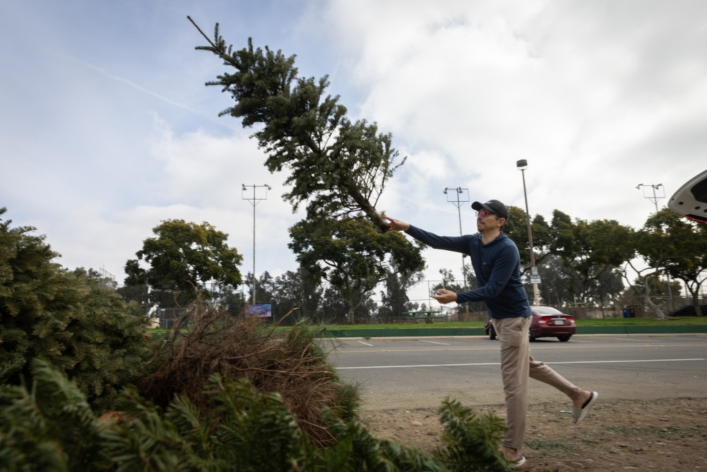 Is it time to recycle your Christmas tree? Here’s how. – San Diego Union-Tribune