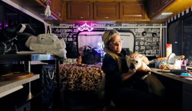 San Diego is owed more than $260 million in delinquent parking tickets and other debts. Will it ever collect them? – San Diego Union-Tribune