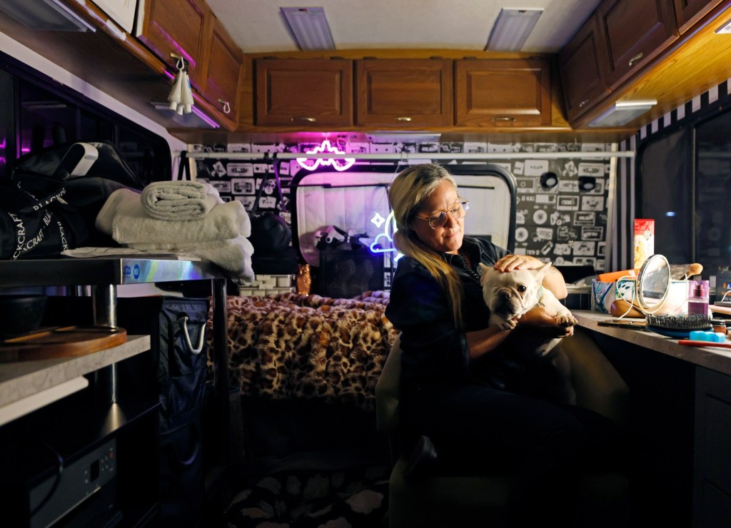 San Diego is owed more than $260 million in delinquent parking tickets and other debts. Will it ever collect them? – San Diego Union-Tribune