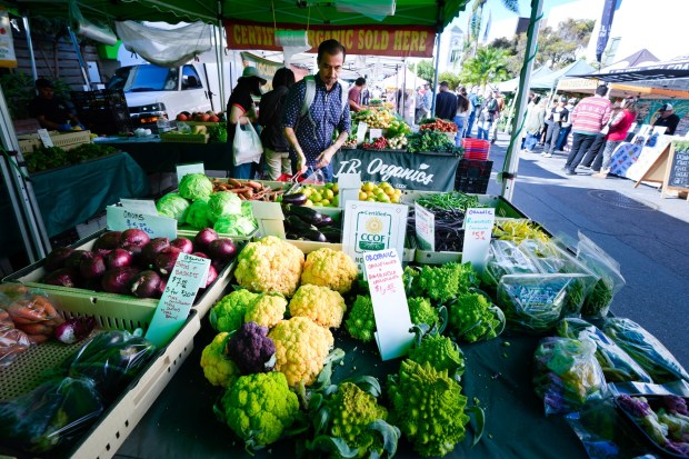 Jose Perez of Normal Heights shopped for fresh produce at one of the vendors during the Farmers Market at Little Italy on Saturday, Dec. 6, 2025, in San Diego, CA.  (Nelvin C. Cepeda / The San Diego Union-Tribune)
