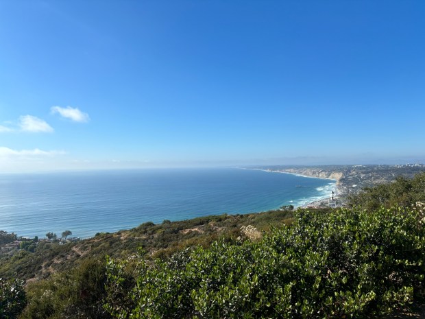 The view from the out-and-back hike in the La Jolla Heights Open Space.