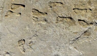 Scientists Discover Oldest Human Footprints In New Mexico, And The Details Are Unbelievable