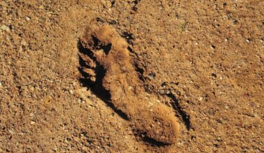 Scientists Just Discovered The Oldest Human Footprint Ever Found, Hidden In Chilean Mud