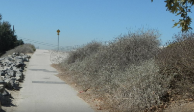 Metro Solicits Community Feedback for Proposed LA River Path