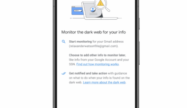Google's new dark web report feature