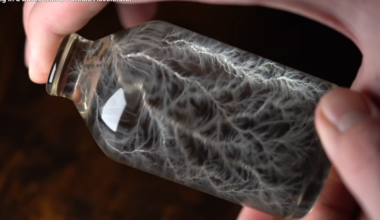 Lichtenberg Lightning In A Bottle, Thanks To The Magic Of Particle Accelerators