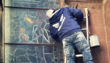 A wrap on the year's news; Rescued pups; Weekly gun violence brief