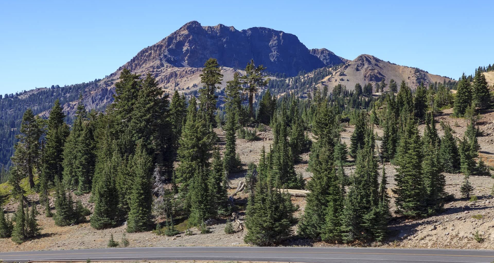 Researchers found promising evidence that the critically endangered Sierra Nevada red fox is still holding on.