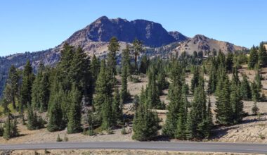 Researchers found promising evidence that the critically endangered Sierra Nevada red fox is still holding on.