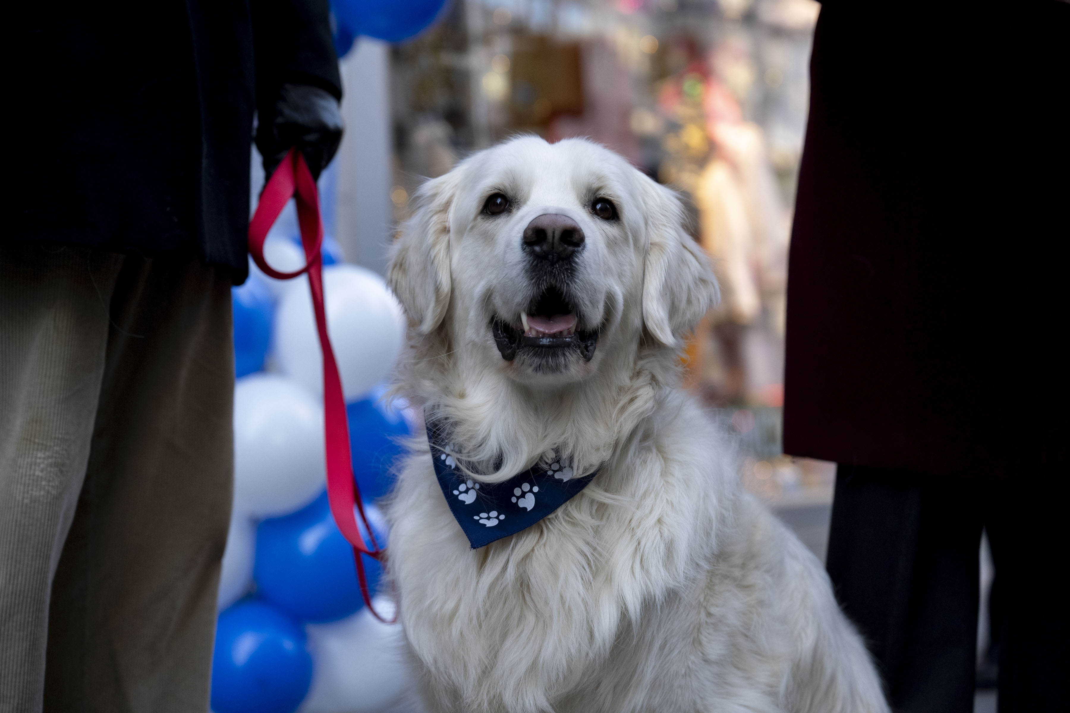 The Miracle of Madison Avenue returns Dec. 6.