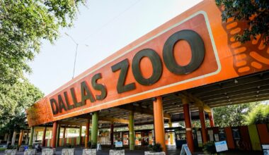 New initiative makes Dallas Zoo more accessible to SNAP, WIC families across North Texas