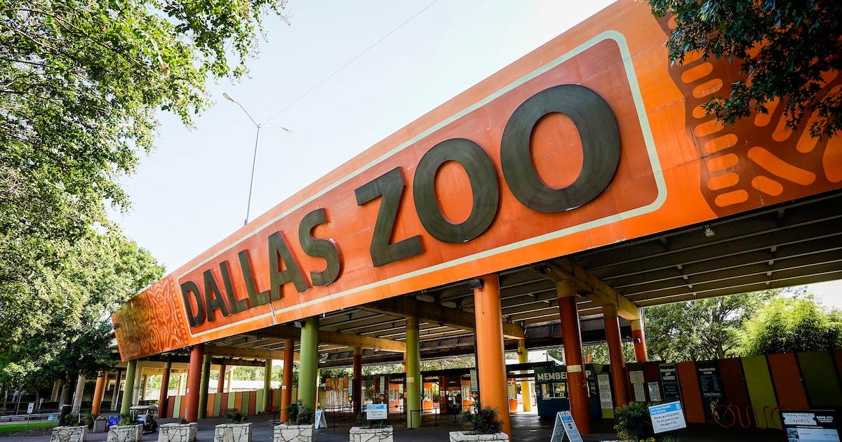 New initiative makes Dallas Zoo more accessible to SNAP, WIC families across North Texas