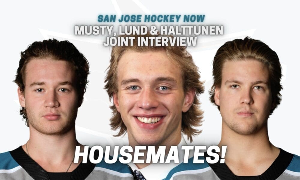 How Do Musty, Lund & Halttunen Make Sharks? Housemates Also Talk Living Together (+)