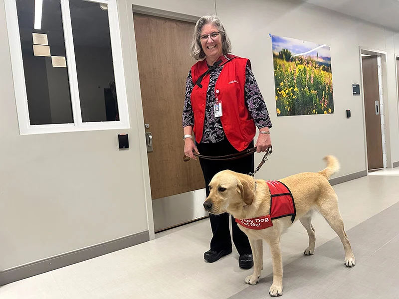 Therapy dogs roam the halls of UCHealth Poudre Valley Hospital, bringing comfort to patients. The new inpatient behavioral health unit is now part of their rounds. Photo by Kelly Tracer, UCHealth.