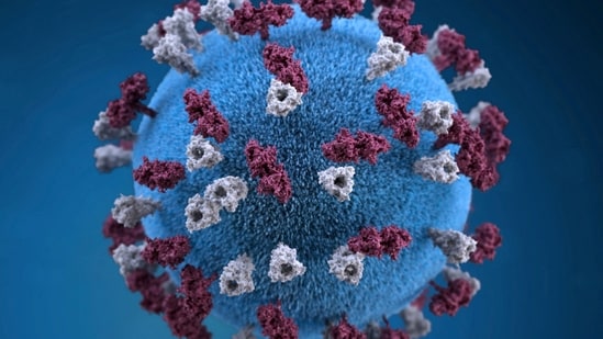 Measles outbreaks are rising in South Carolina, with 126 confirmed cases. (REUTERS)