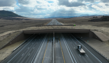 Colorado opens North America’s largest wildlife overpass