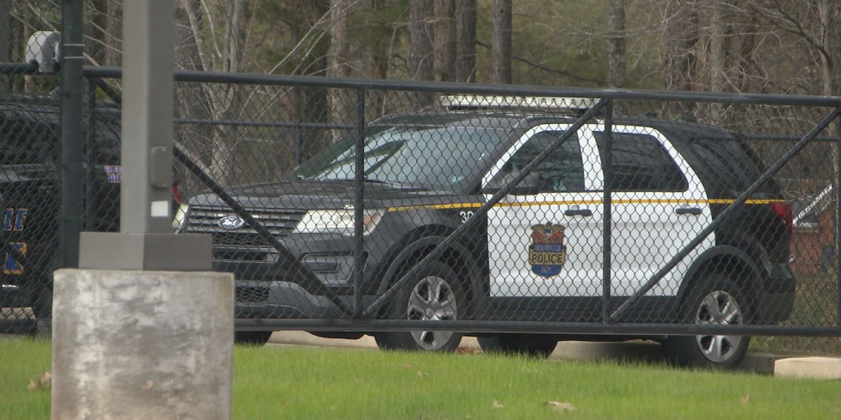 Jacksonville Police ramping up holiday patrols, targeting porch pirates