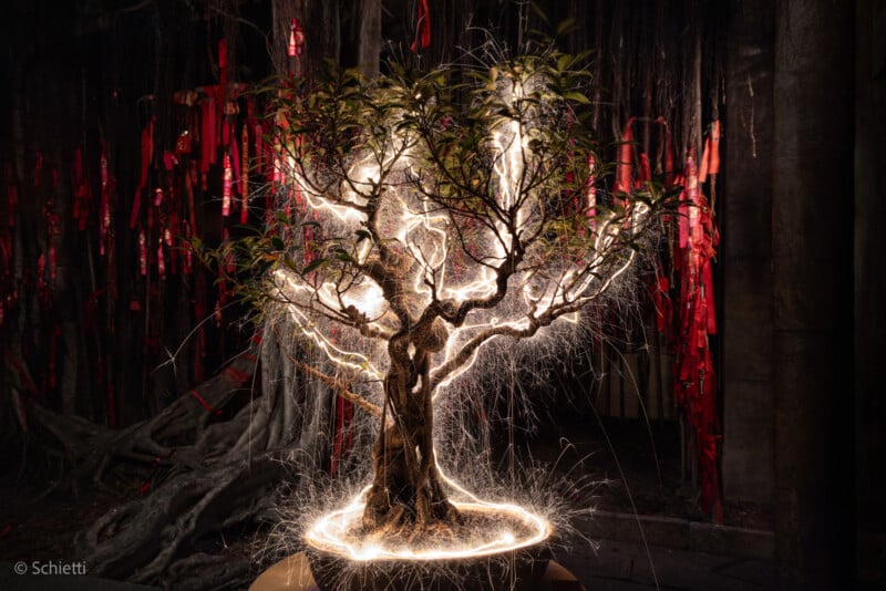 A bonsai tree illuminated by swirling light trails, set against a dark background with red ribbons hanging from twisted tree roots. The glowing effect emphasizes the tree’s intricate branches and leaves.
