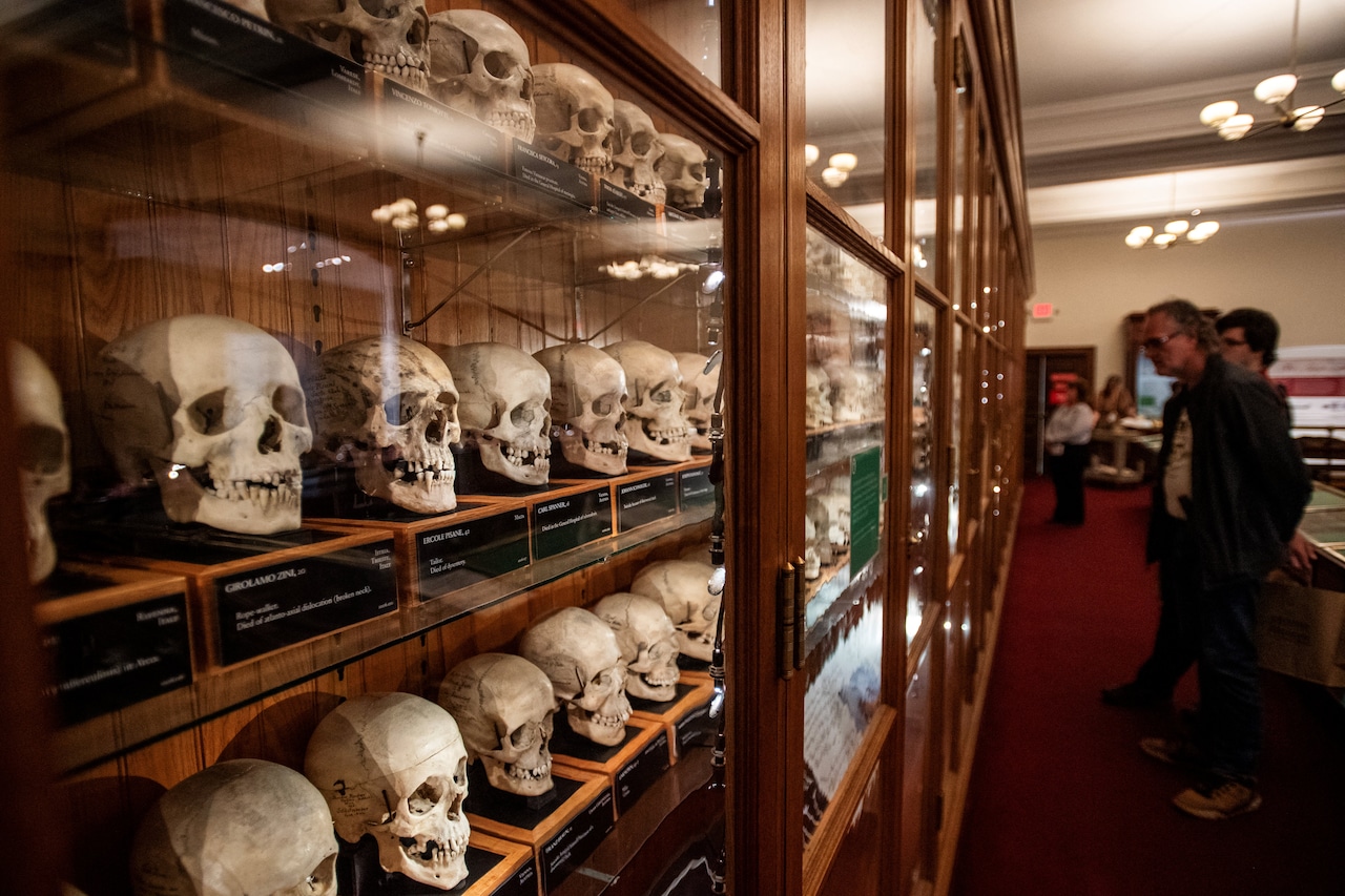 Visitors examine a display of skulls from the Josef Hyrtl Collection at the Mütter in August. The collection of 139 human skulls was created by Hyrtl to disprove the claims of Phrenologists that believed cranial features indicated intelligence and personality. The collection was acquired from Hyrtl in 1874 and is one of the main displays at the museum.
