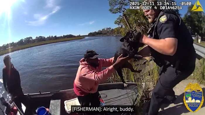 Fishermen help JSO officers rescue Frenchie stranded on island in Ribault River