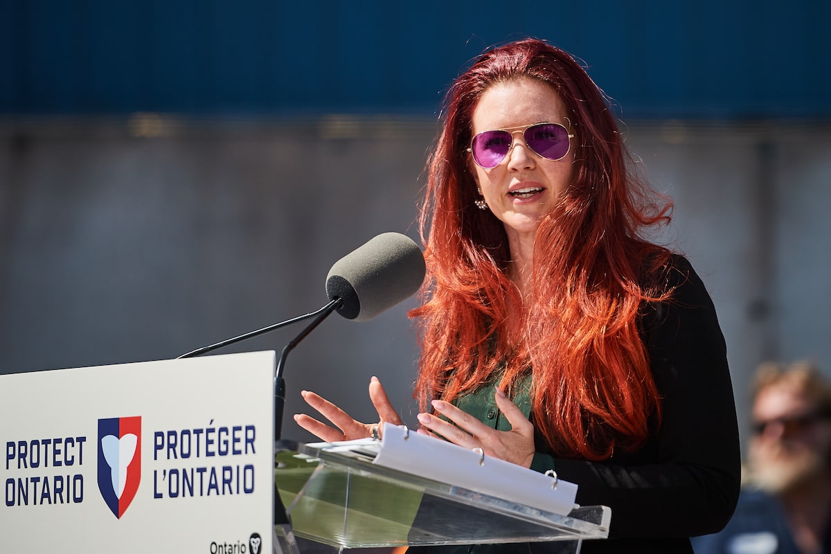 NDP says Ontario report on intimate partner violence partly AI-generated, includes non-existent sources