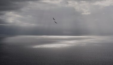 Cloudy start to the weekend for North Texas. When will the sun return?