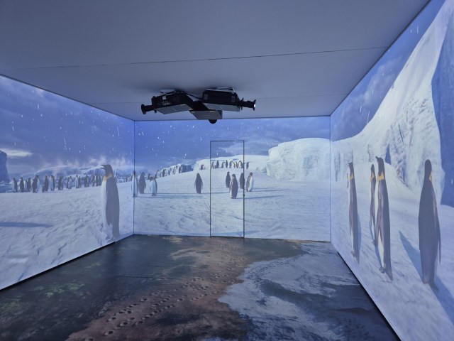 zoo of the future penguins