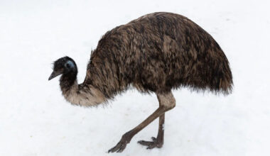 Yahoo lifestyle home