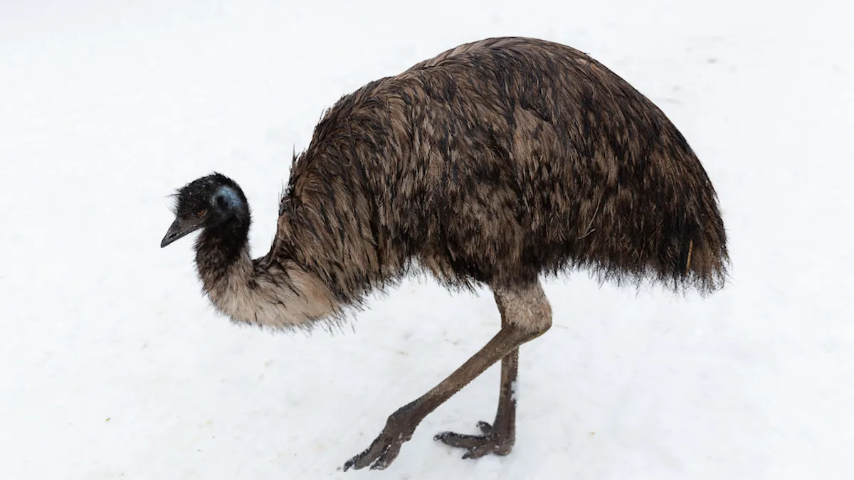 Yahoo lifestyle home