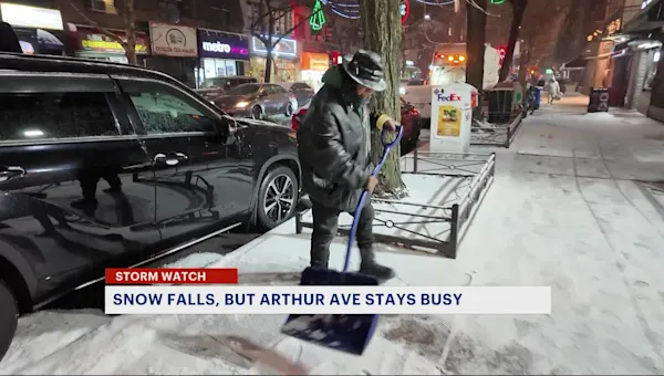 Belmont residents brave snowstorm on Arthur Avenue
